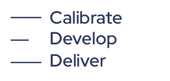 Business Mentoring 3 strands - Calibrate Develop Deliver